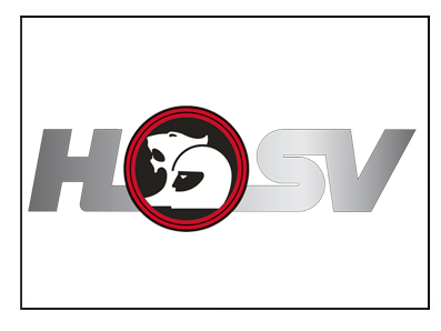 تاریخچه خودروسازی HSV